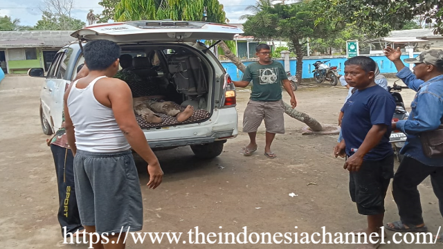 Geger! Warga Labrak Penginapan Syariah Bodong yang Jadi Sarang Maksiat: Kronologi dan Fakta Lapangan - Fenomena penginapan berbasis syariah seharusnya menjadi angin segar bagi wisatawan yang menginginkan ketenangan dan kepatuhan terhadap norma agama.